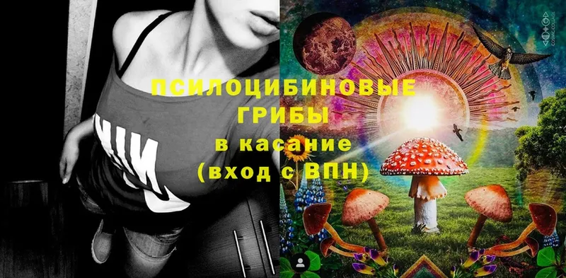 blacksprut   Липки  Псилоцибиновые грибы Psilocybine cubensis 